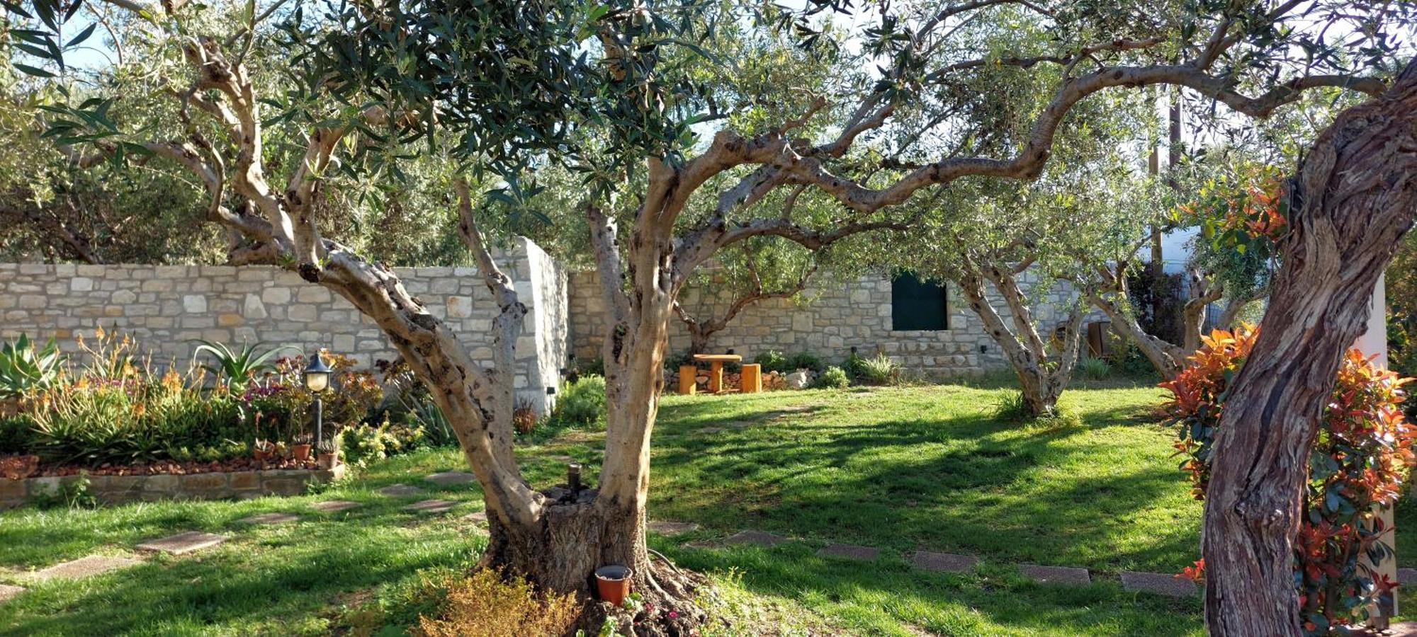 Lily'S Cottage Платанес Экстерьер фото